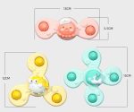 baby-fidget-spinner-toy-114051.jpg