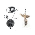 cat-toy-huntercat-710857.jpg