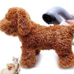 electric-pet-grooming-hair-remover-452299.jpg