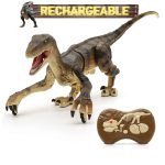 kid-dinosaur-toy-with-remote-control-813889.jpg