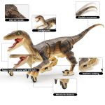 kid-dinosaur-toy-with-remote-control-813889.jpg